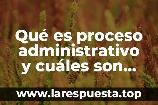 Que es un proyecto tipos y etapas 5 Qué es proceso administrativo y cuáles son sus etapas