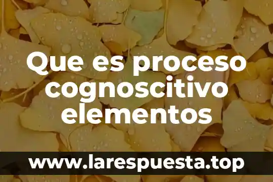 Según la teología católica que es un elemento cognoscitivo 4 Que es proceso cognoscitivo elementos