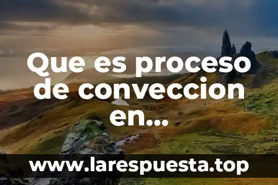 Que es un testigo en derecho 8 Que es proceso de conveccion en programacion