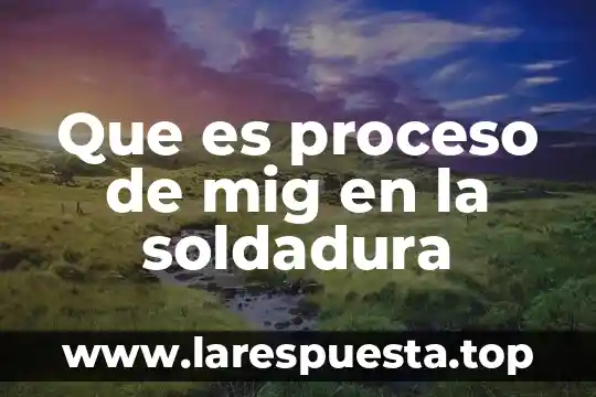 Que es una guia para un proceso 6 Que es proceso de mig en la soldadura