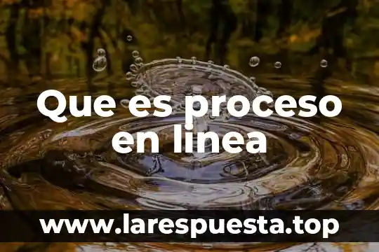Por que es util manipular una linea de comando 5 Que es proceso en linea