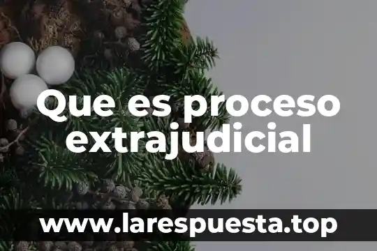 Que es una guia para un proceso 5 Que es proceso extrajudicial