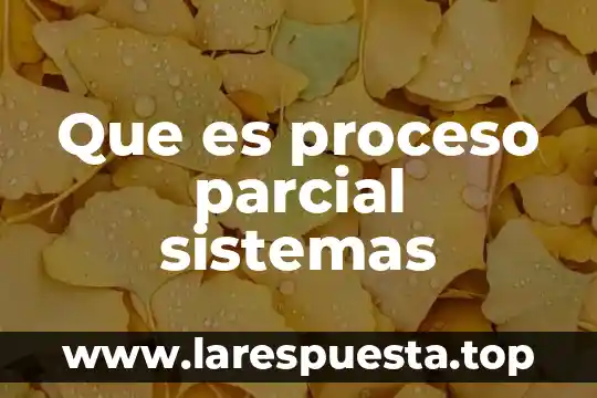 Qué es una administración estratégica 7 Que es proceso parcial sistemas