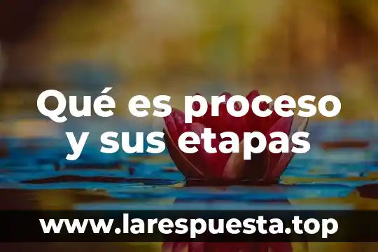Que es un proyecto tipos y etapas 6 Qué es proceso y sus etapas