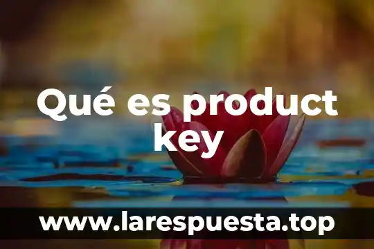 Product increment que es 4 Qué es product key