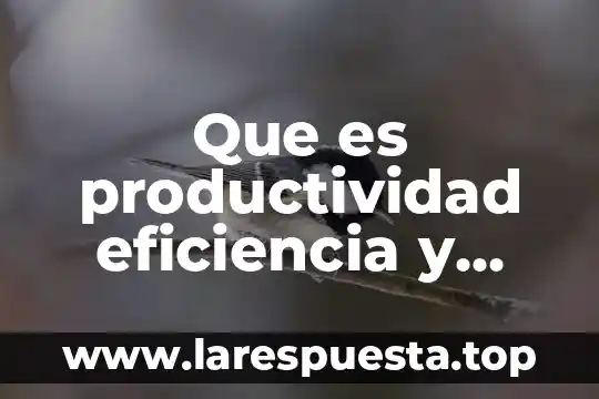 Que es productividad eficiencia y eficacia