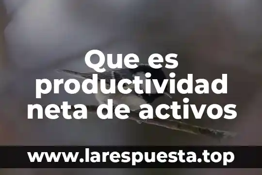 Que es activos prescindibles 3 Que es productividad neta de activos