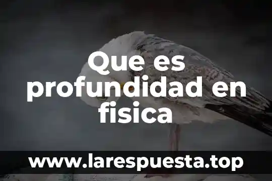 Que es profundidad en fisica