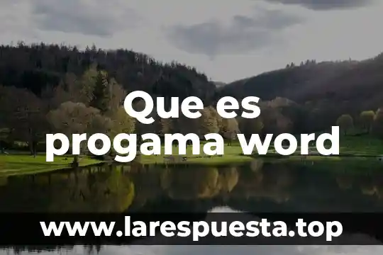 Que es progama word
