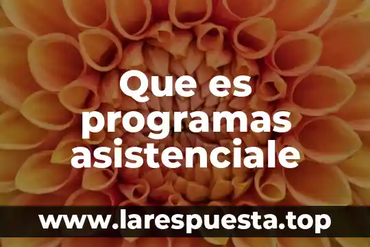 Que es programas asistenciale