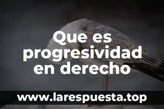 Para que es el derecho internacional 8 Que es progresividad en derecho