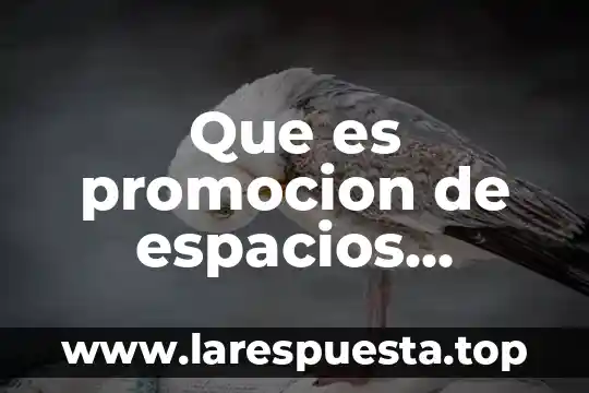 Que es promocion de espacios saludables