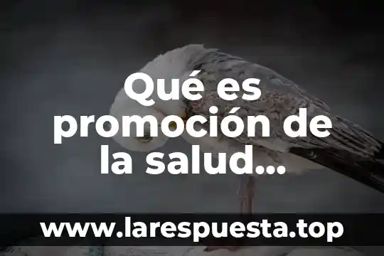 Qué es promoción de la salud popular concepto