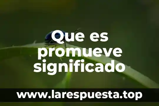 Que es seguidor significado 6 Que es promueve significado