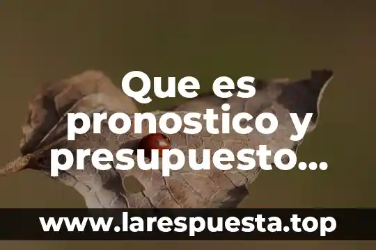 Que es pronostico y presupuesto materia