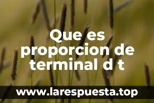 Que es proporción en dibujo 5 Que es proporcion de terminal d t