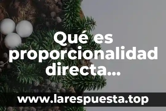 Que es la proporcionalidad de las funciones administrativas 6 Qué es proporcionalidad directa múltiple
