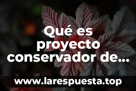 Qué es proyecto conservador de nación