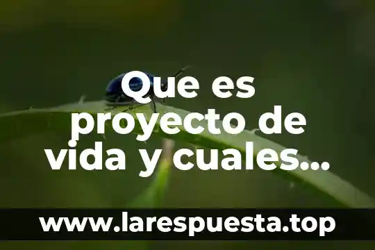 Que es una tabla estadistica y sus partes 8 Que es proyecto de vida y cuales son sus partes