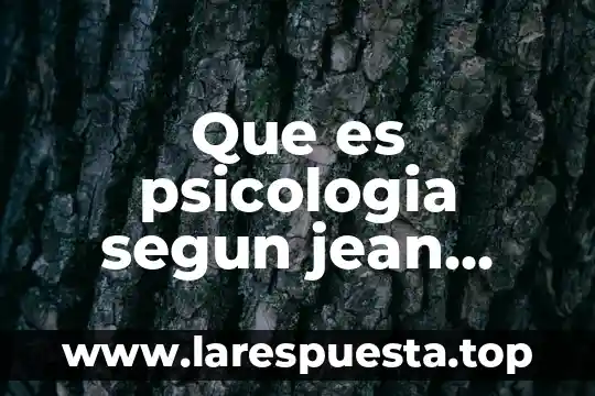 Qué es la metodología según Jean Piaget 4 Que es psicologia segun jean piaget