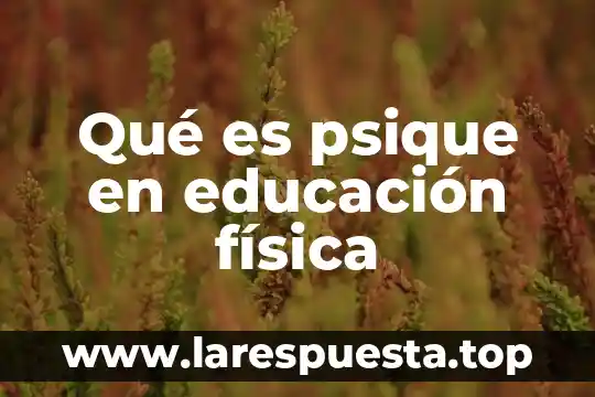 Qué es psique en educación física