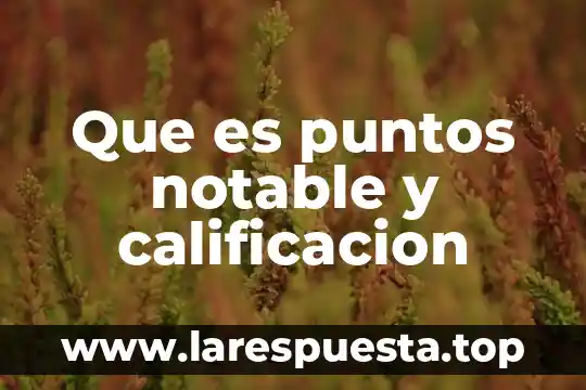 Que es la liberación de puntos 3 Que es puntos notable y calificacion