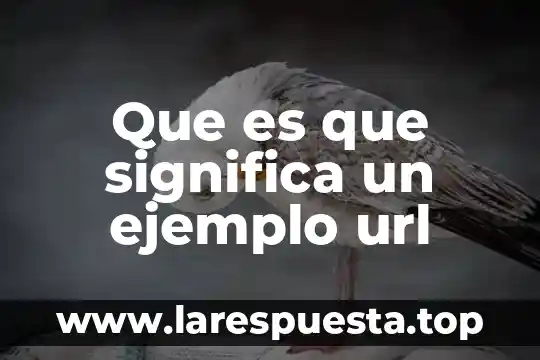 Qué significa que es una campaña promocional en contabilidad 4 Que es que significa un ejemplo url