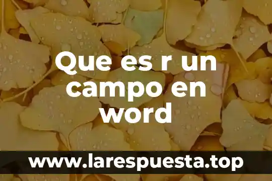 Que es el campo odológico 5 Que es r un campo en word