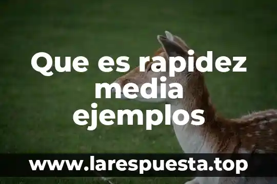 Que es la rapidez en fisica con formula 7 Que es rapidez media ejemplos