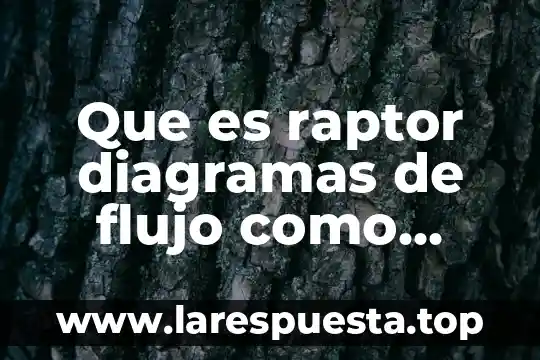 Que es el flujo de materia y energia 7 Que es raptor diagramas de flujo como funciona