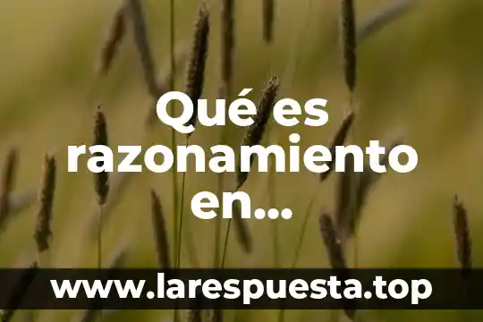 Qué es razonamiento en contabilidad