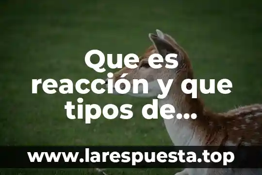 Que es reacción y que tipos de reacciones existen