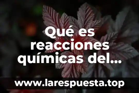 Que es la etica en mi entorno 6 Qué es reacciones químicas del entorno