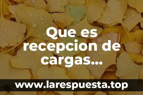 Que es la densidad de estructuras oseas disminuidas 8 Que es recepcion de cargas estructuras