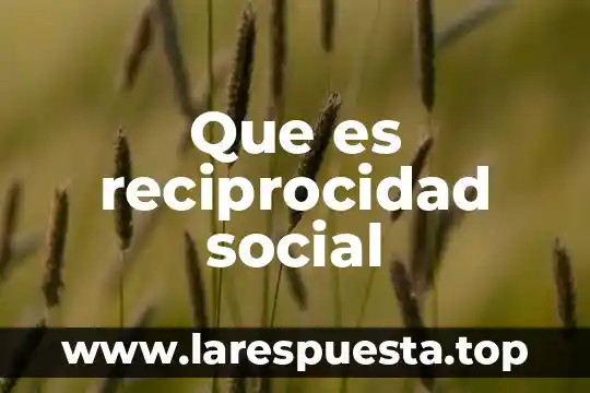 Que es negociacion social 4 Que es reciprocidad social