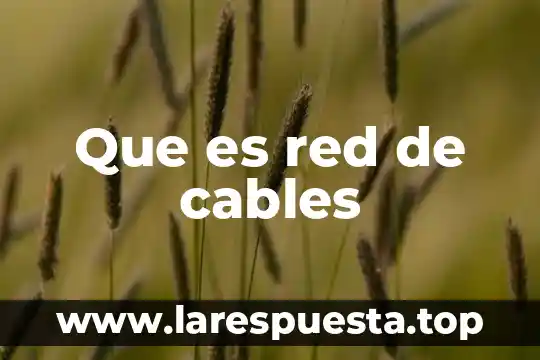 Que es el nombre de red especificado facturacion 3 Que es red de cables