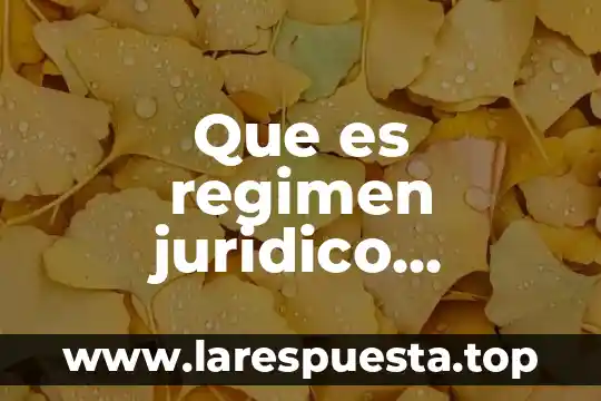 Que es regimen juridico administrativo