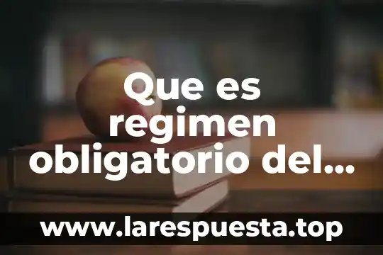 Que es el regimen de incorporacion fiscal ejemplo 4 Que es regimen obligatorio del seguro social