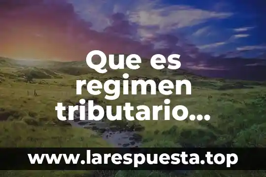 Que es el regimen de incorporacion fiscal ejemplo 3 Que es regimen tributario integrado