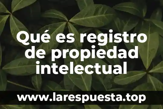 Que es intelectual de educacion especial 5 Qué es registro de propiedad intelectual