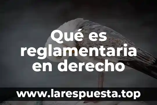 Qué es reglamentaria en derecho