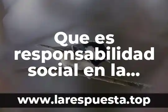 Zacatecas por que es rosa 4 Que es responsabilidad social en la industria minera en zacatecas