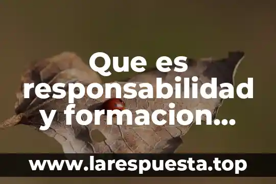 Que es la responsabilidad social caracteristicas 3 Que es responsabilidad y formacion social