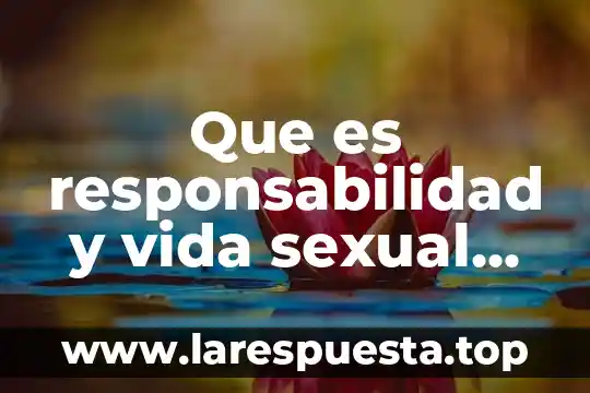 Que es la responsabilidad social profesional 5 Que es responsabilidad y vida sexual activa