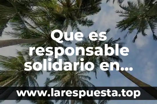 Que es una empresa y como funciona 3 Que es responsable solidario en materia fiscal en escuela empresa