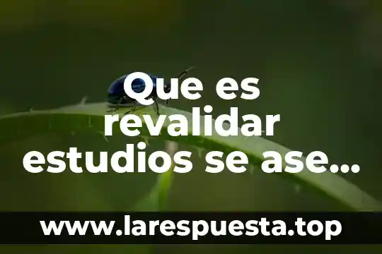 Que es revalidar estudios se ase un examen