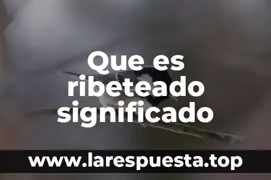 Que es ribeteado significado