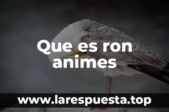 Que es ron animes