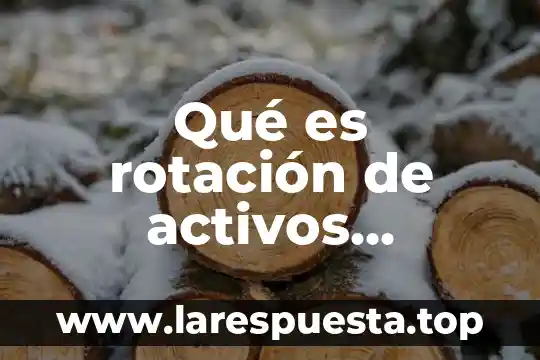 Qué es rotación de activos conclusión