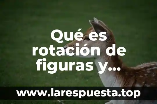Qué es rotación en un plano 3 Qué es rotación de figuras y cuerpos geométricos